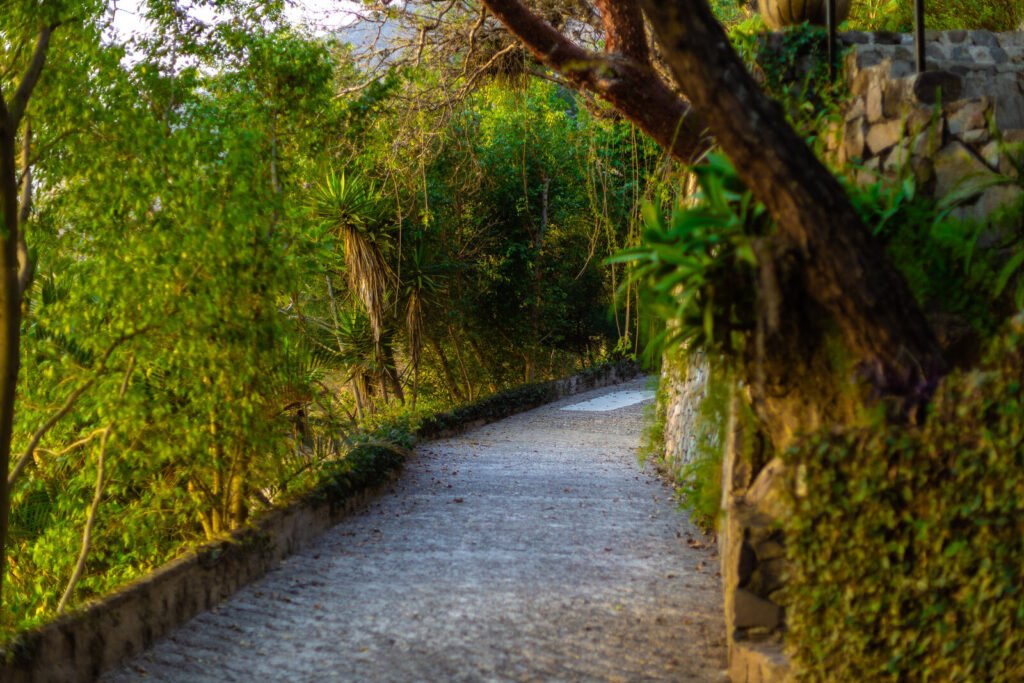 Stone pathway winding through lush greenery at Villas B'alam Ya